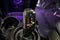 2020 MINI Cooper S Signature