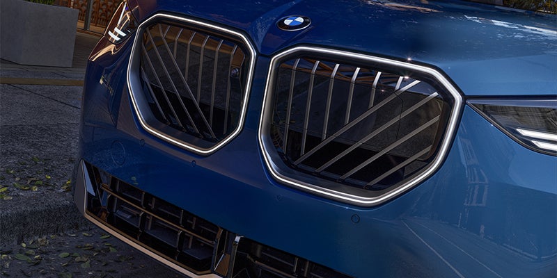 Trim level grille details of the 2025 BMW X3 in Berkeley, CA